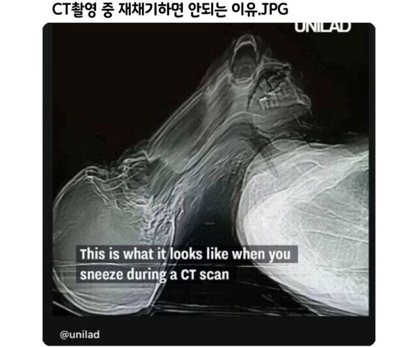 4e08b1391062c517cca402519d5dfed2_1750128900_7573.jpeg