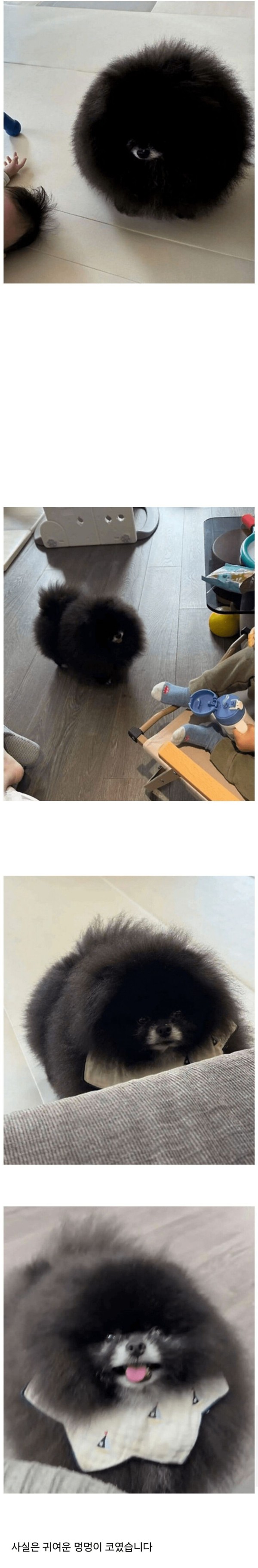 58c751826de3751c0375168c96b8b774_1754022919_2117.jpg